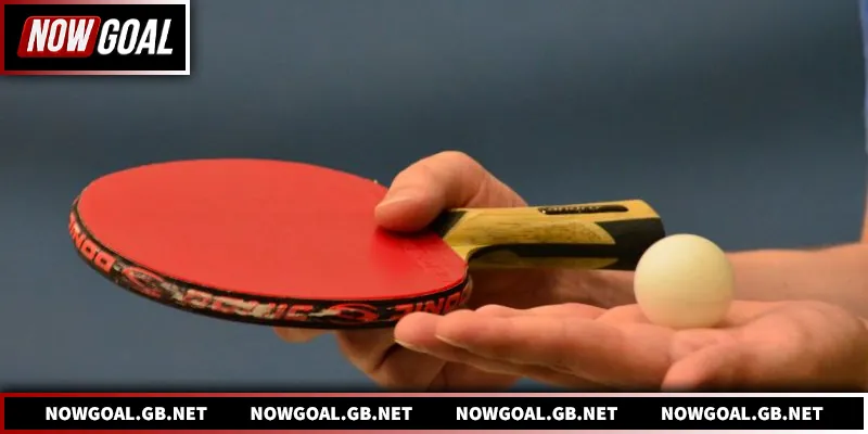 Bóng Bàn Nowgoal - Cập Nhật Soi Kèo Và Tỷ Số Chuẩn Xác Đánh giá chuyên sâu dữ liệu thi đấu